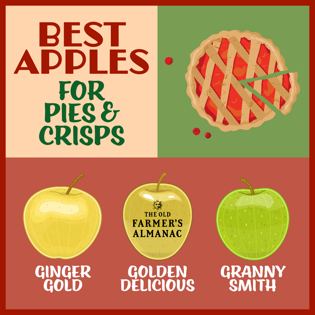 What apples are best outlet for apple pie